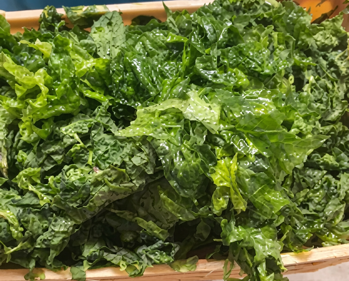 Cesta con Ulva fresca del Río Piedras