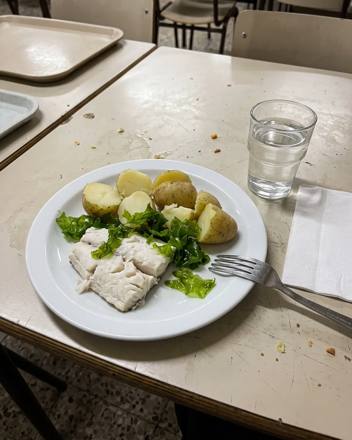 Plato elaborado con Ulva fresca