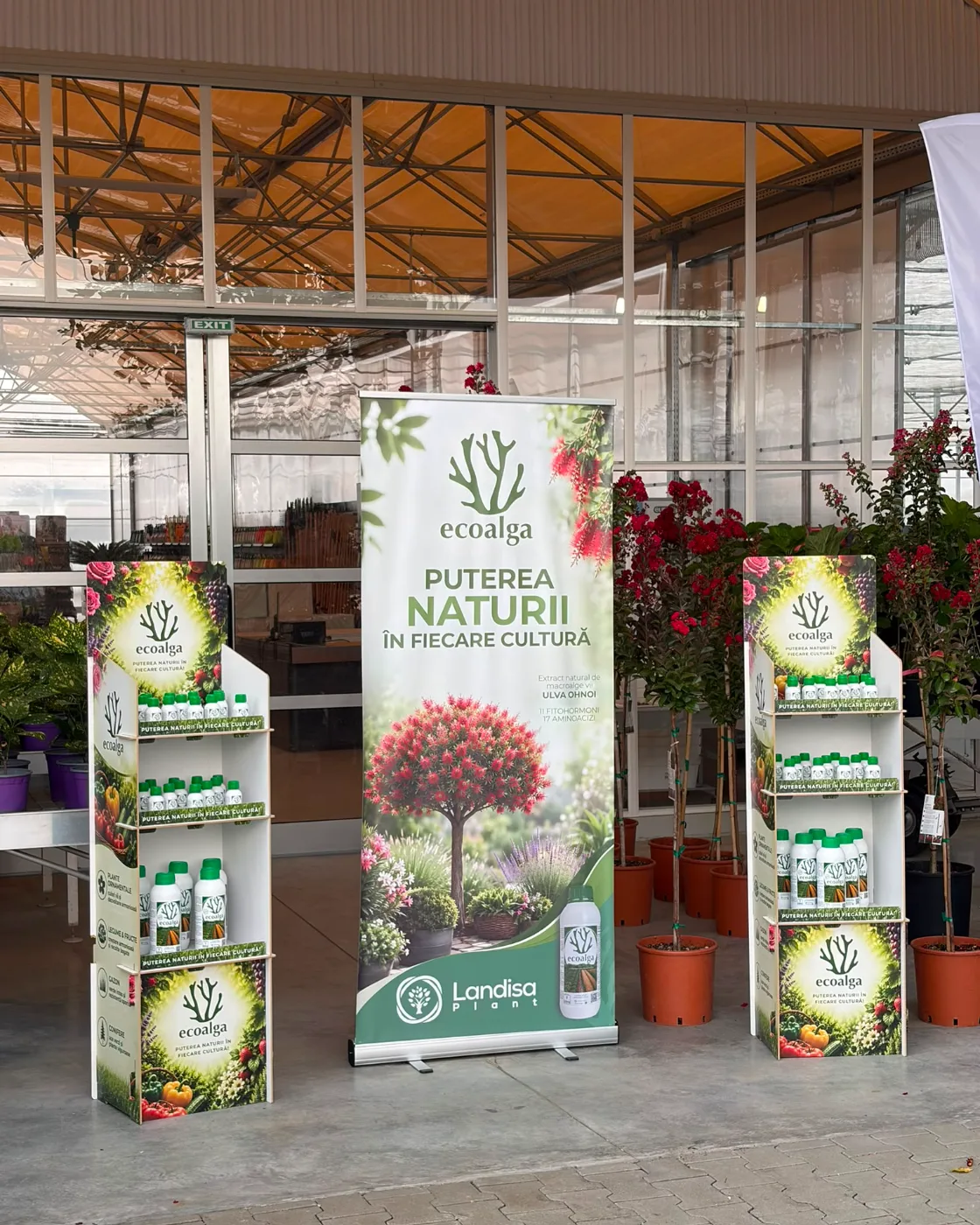 Expositores de suelo y roll-up de Ecoalga con texto en rumano en el punto de venta del distribuidor
